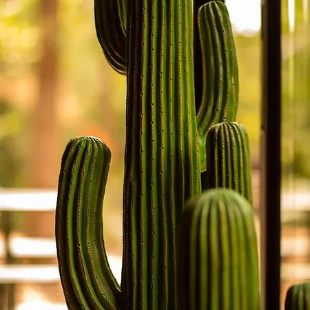 Inarden Yosemite Σαλέ