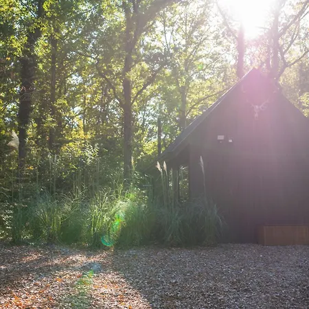 Inarden Yosemite Chalet *